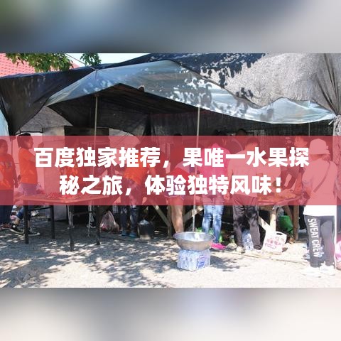 百度獨(dú)家推薦，果唯一水果探秘之旅，體驗(yàn)獨(dú)特風(fēng)味！