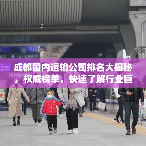 成都國內運輸公司排名大揭秘，權威榜單，快速了解行業巨頭！