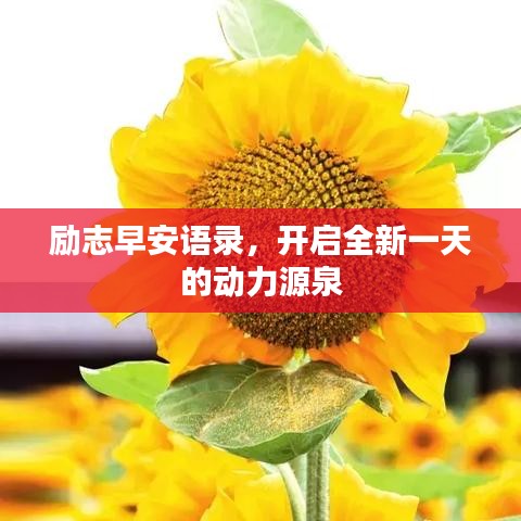 勵志早安語錄，開啟全新一天的動力源泉