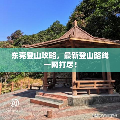 東莞登山攻略，最新登山路線一網打盡！