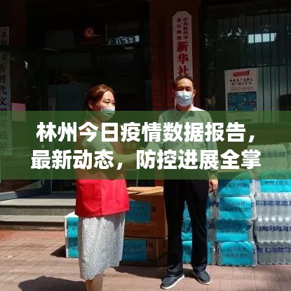 林州今日疫情數據報告，最新動態，防控進展全掌握