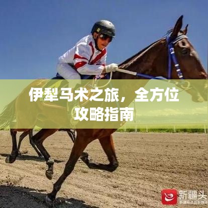 伊犁馬術之旅，全方位攻略指南