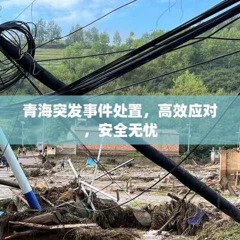 青海突發事件處置，高效應對，安全無憂