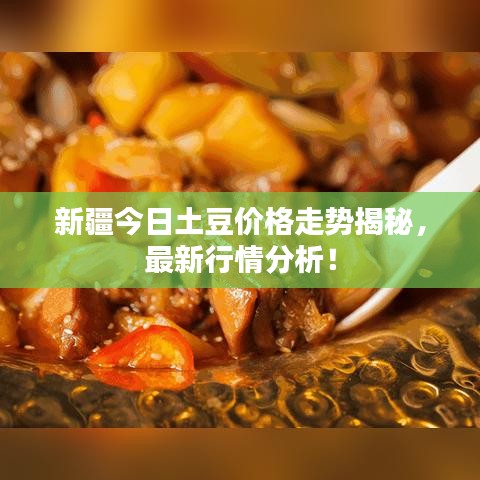 新疆今日土豆價(jià)格走勢揭秘，最新行情分析！