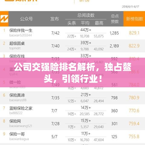 公司交強險排名解析，獨占鰲頭，引領行業！