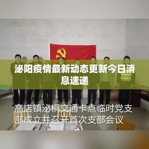 泌陽疫情最新動態更新今日消息速遞