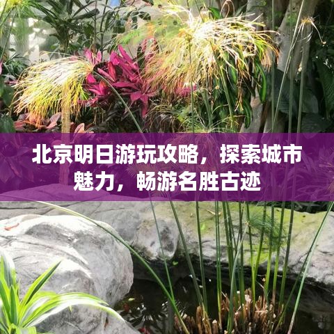 北京明日游玩攻略，探索城市魅力，暢游名勝古跡
