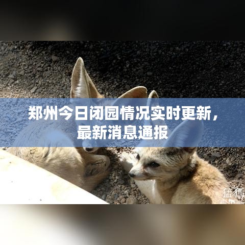 鄭州今日閉園情況實時更新，最新消息通報