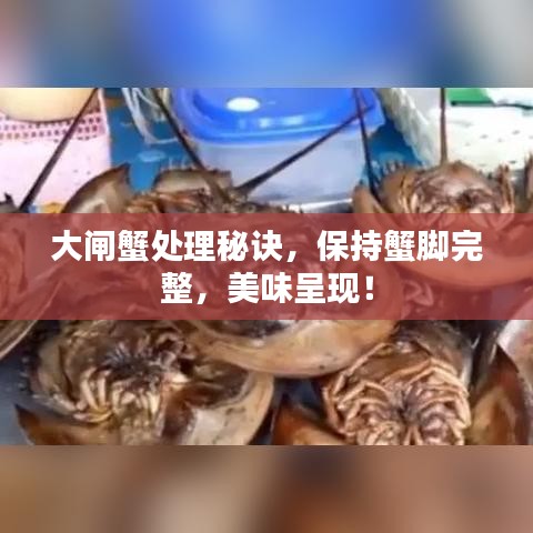 大閘蟹處理秘訣，保持蟹腳完整，美味呈現！