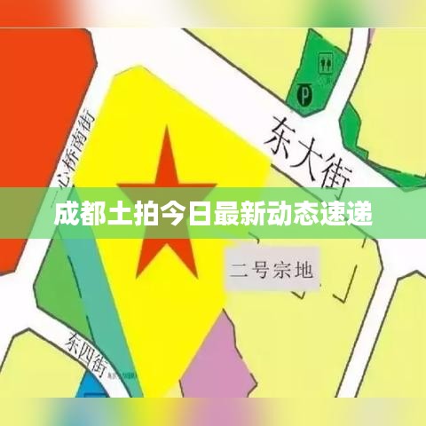 成都土拍今日最新動態速遞