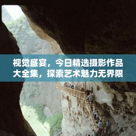 視覺盛宴，今日精選攝影作品大全集，探索藝術魅力無界限