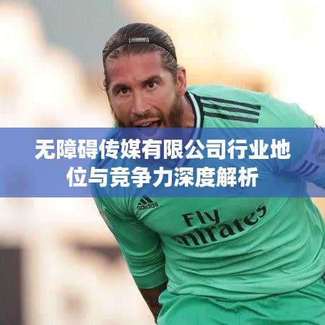 無障礙傳媒有限公司行業(yè)地位與競爭力深度解析