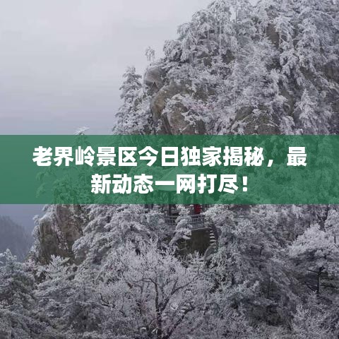 2025年2月15日 第5頁