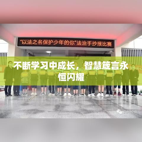 不斷學習中成長，智慧箴言永恒閃耀
