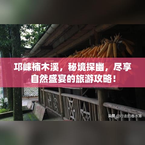 邛崍楠木溪，秘境探幽，盡享自然盛宴的旅游攻略！