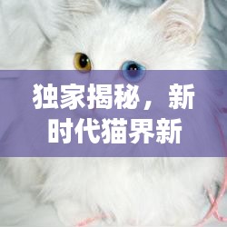 獨家揭秘，新時代貓界新星，創新貓咪品種大揭秘！