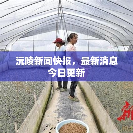 沅陵新聞快報，最新消息今日更新