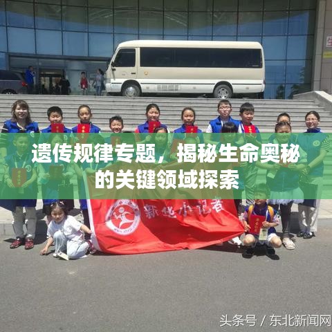 遺傳規律專題，揭秘生命奧秘的關鍵領域探索
