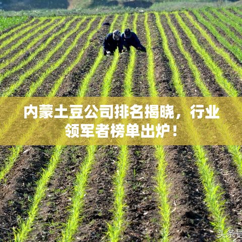 剛毅木訥