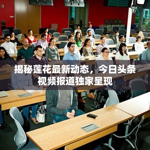揭秘蓮花最新動態，今日頭條視頻報道獨家呈現