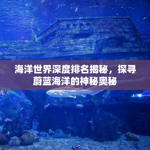 海洋世界深度排名揭秘，探尋蔚藍海洋的神秘奧秘