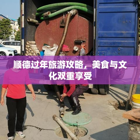 順德過年旅游攻略，美食與文化雙重享受