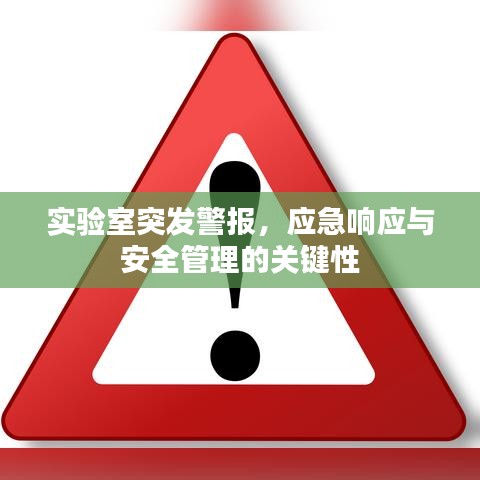 實驗室突發警報，應急響應與安全管理的關鍵性