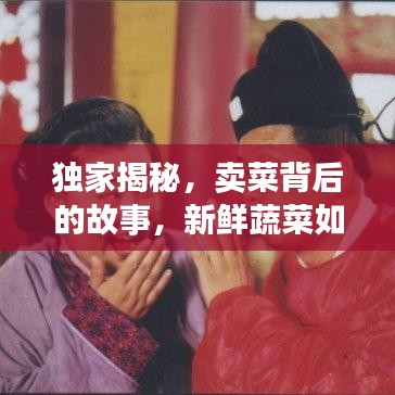 獨家揭秘，賣菜背后的故事，新鮮蔬菜如何走進千家萬戶？