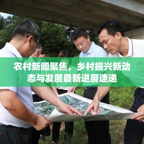 農(nóng)村新聞聚焦，鄉(xiāng)村振興新動態(tài)與發(fā)展最新進展速遞