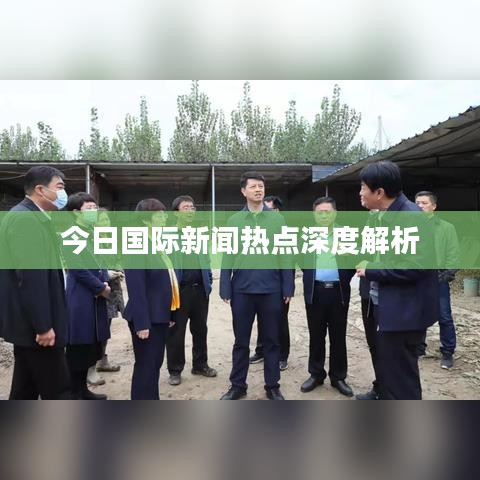 今日國際新聞熱點深度解析