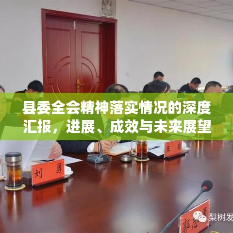縣委全會精神落實情況的深度匯報，進展、成效與未來展望