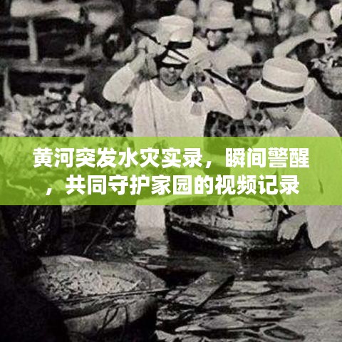 黃河突發水災實錄，瞬間警醒，共同守護家園的視頻記錄