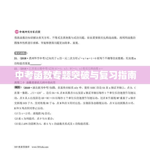 中考函數專題突破與復習指南