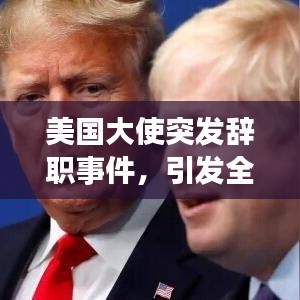 美國大使突發(fā)辭職事件，引發(fā)全球矚目關(guān)注！