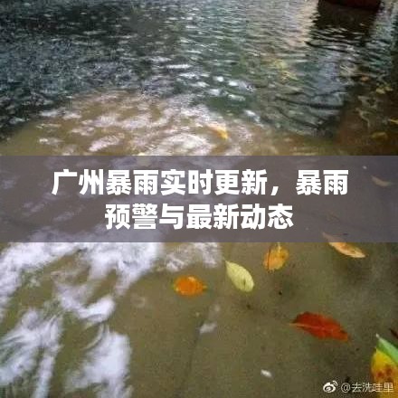廣州暴雨實(shí)時(shí)更新，暴雨預(yù)警與最新動(dòng)態(tài)