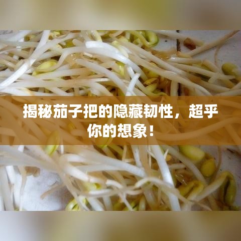 揭秘茄子把的隱藏韌性，超乎你的想象！