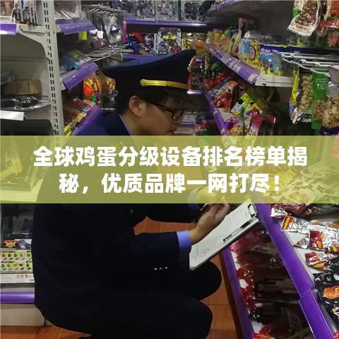 全球雞蛋分級設備排名榜單揭秘，優質品牌一網打盡！