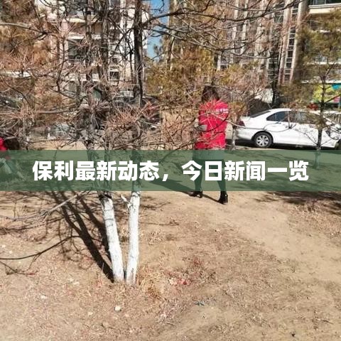 保利最新動態，今日新聞一覽