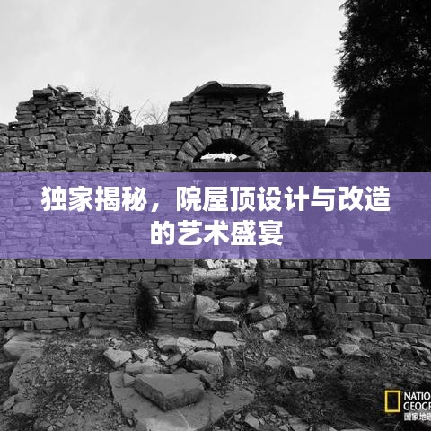 獨家揭秘，院屋頂設計與改造的藝術盛宴