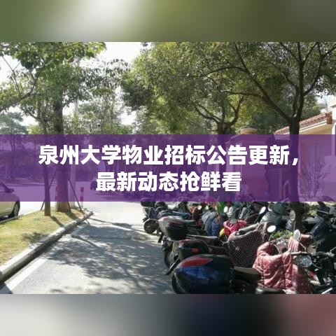 泉州大學物業招標公告更新，最新動態搶鮮看