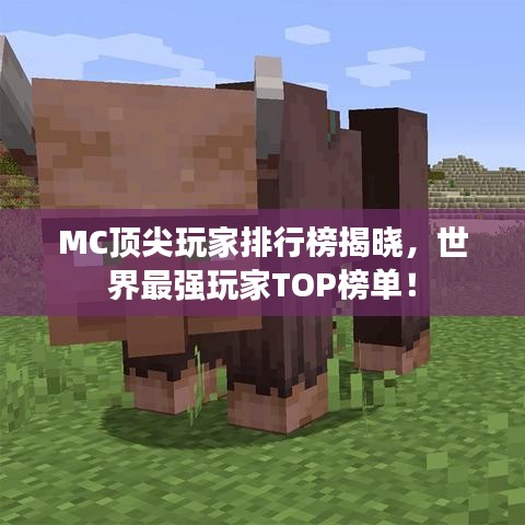 MC頂尖玩家排行榜揭曉，世界最強玩家TOP榜單！
