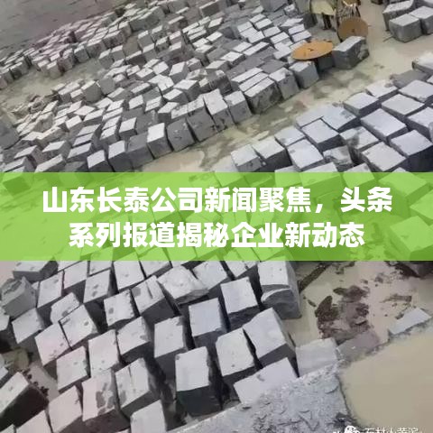 山東長泰公司新聞聚焦，頭條系列報道揭秘企業新動態