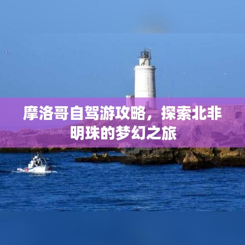 摩洛哥自駕游攻略，探索北非明珠的夢幻之旅