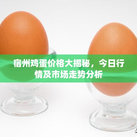 宿州雞蛋價格大揭秘，今日行情及市場走勢分析