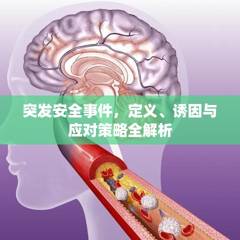 突發安全事件，定義、誘因與應對策略全解析