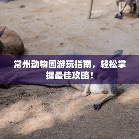 常州動物園游玩指南，輕松掌握最佳攻略！
