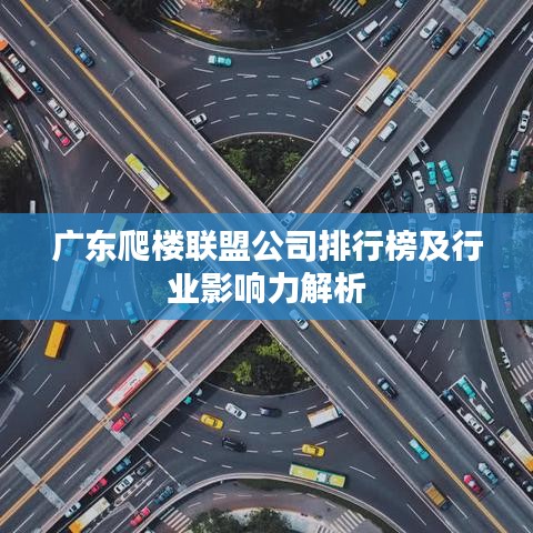 廣東爬樓聯盟公司排行榜及行業影響力解析