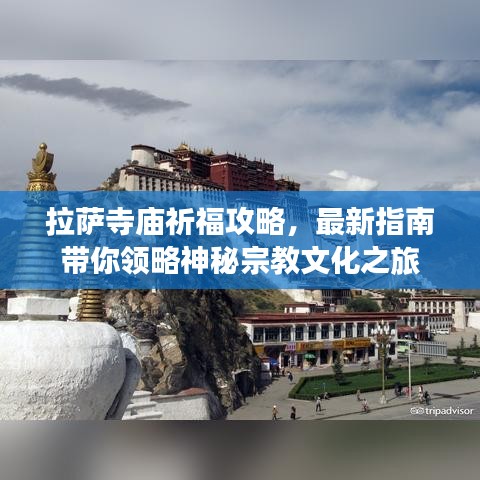 2025年2月19日 第4頁