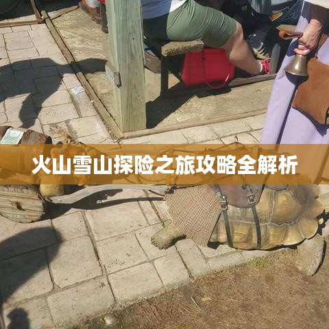 火山雪山探險之旅攻略全解析