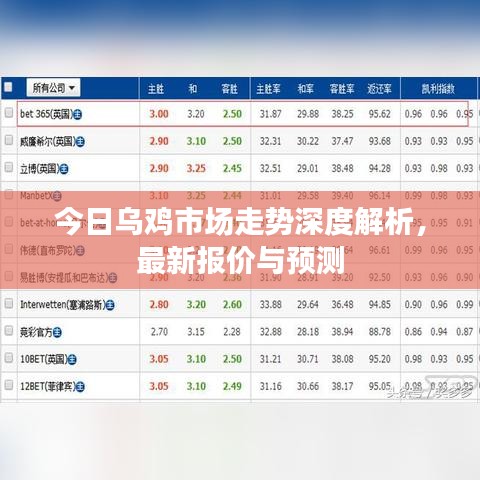 今日烏雞市場走勢深度解析，最新報價與預測